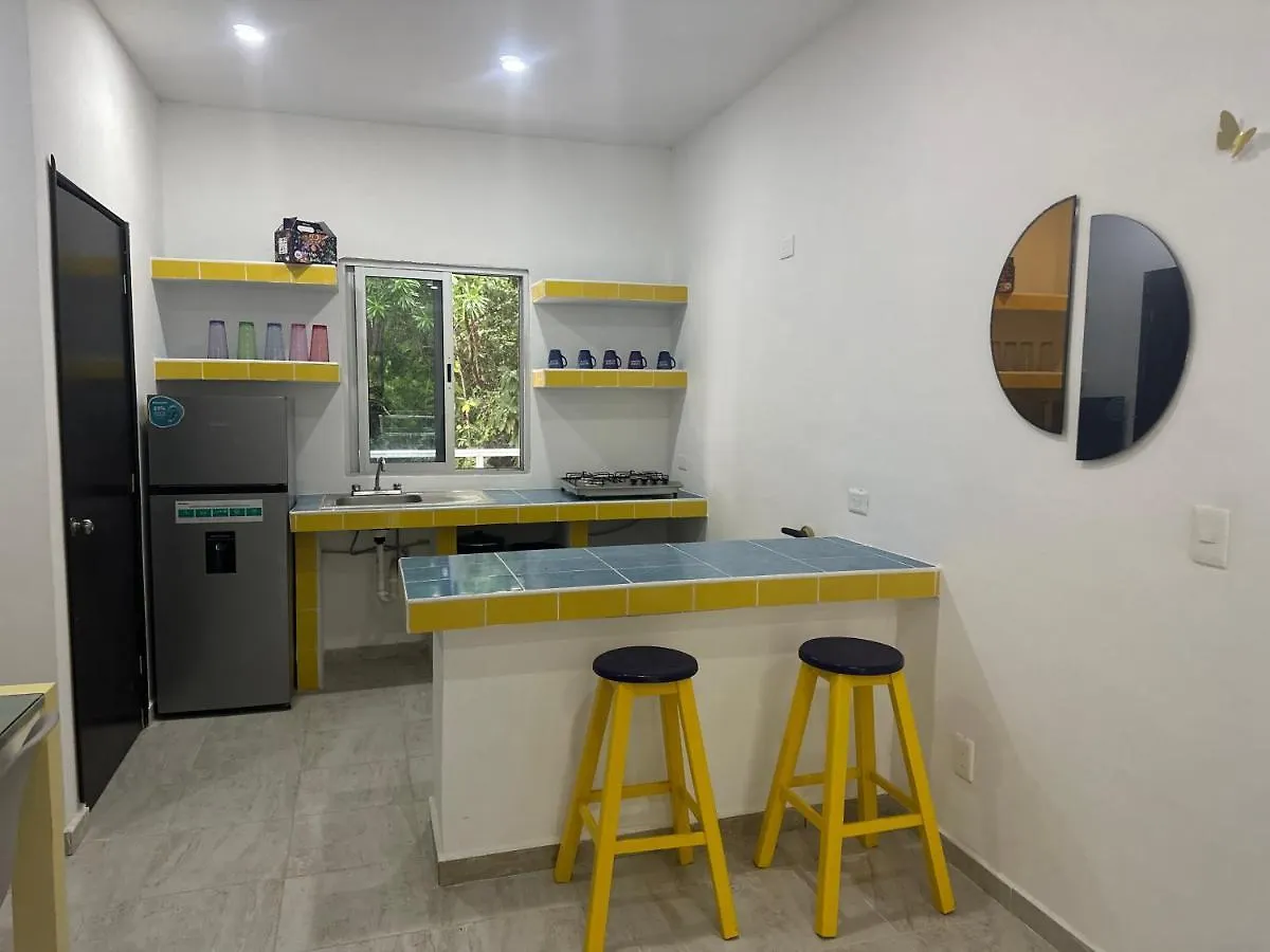 Cozy Apartments In Puerto Morelos