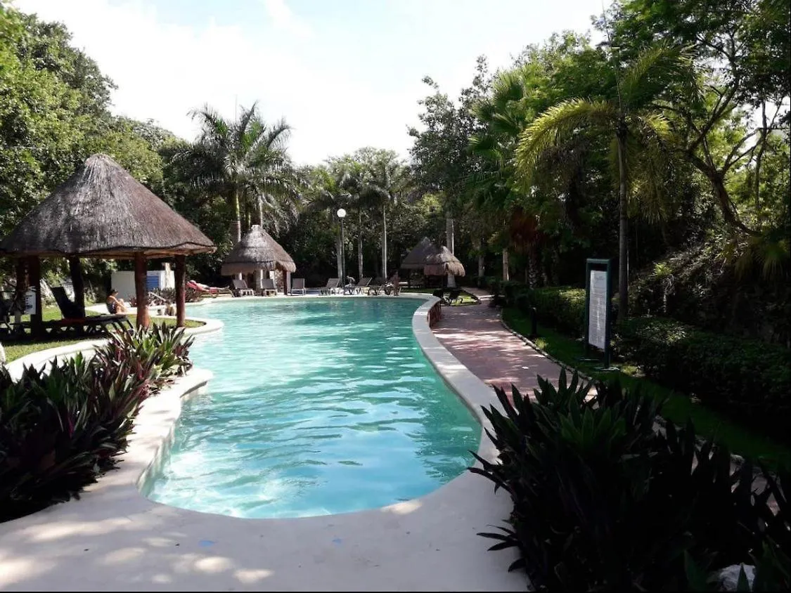 Cozy Apartments In Puerto Morelos