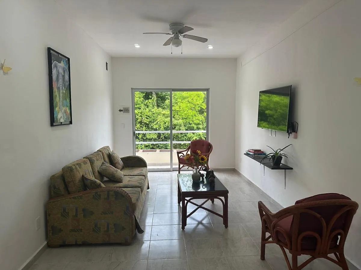 Cozy Apartments In Puerto Morelos Mexico