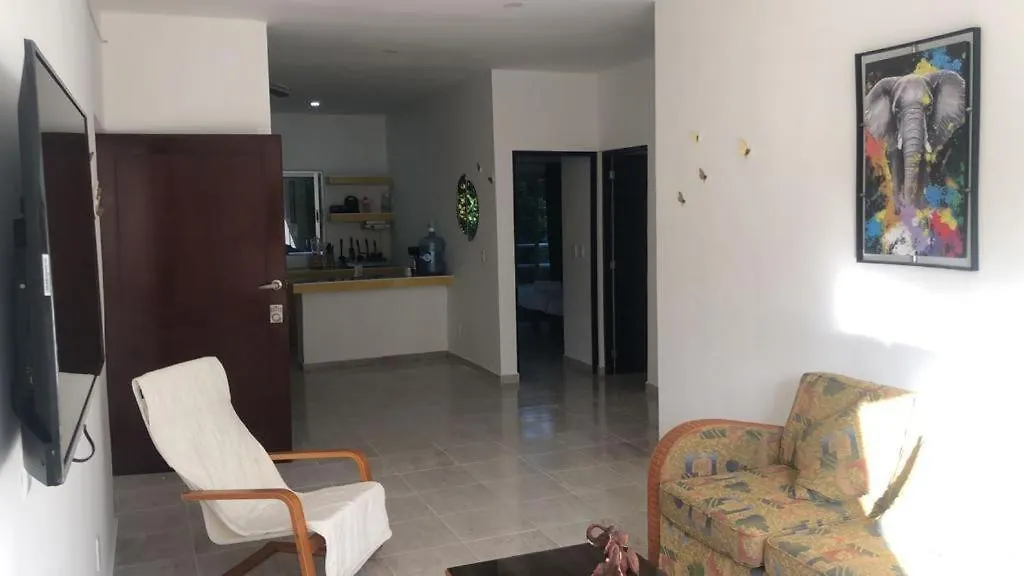 Cozy Apartments In Puerto Morelos