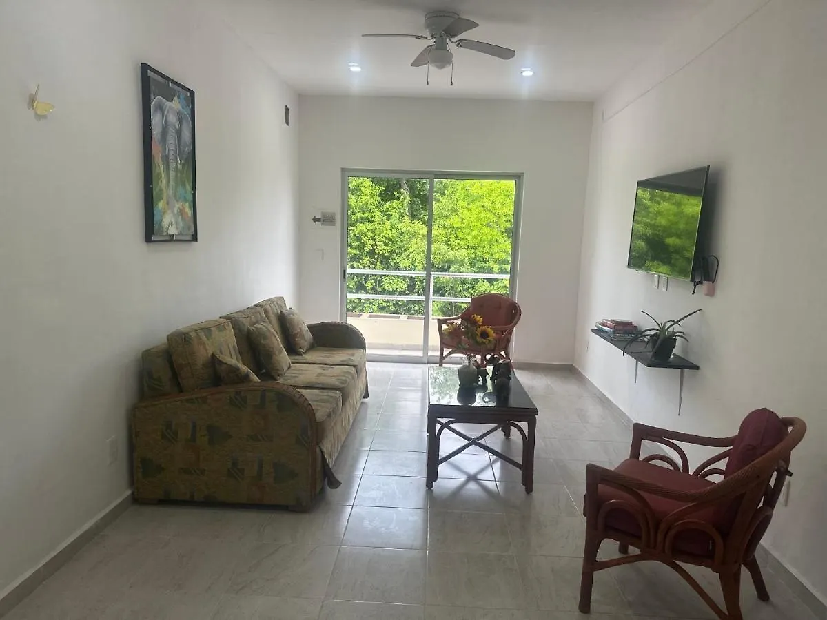 Cozy Apartments In Puerto Morelos