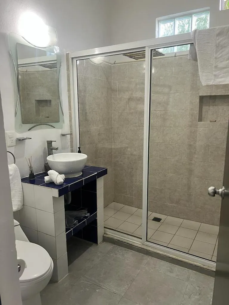 Cozy Apartments In Puerto Morelos