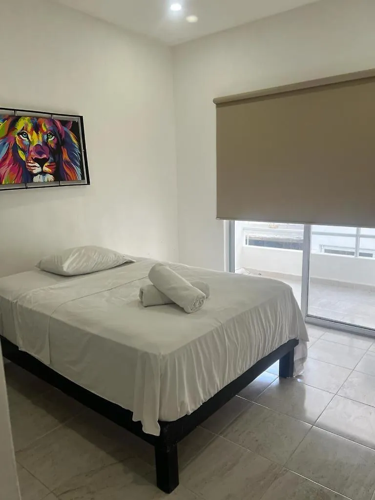 Cozy Apartments In Puerto Morelos